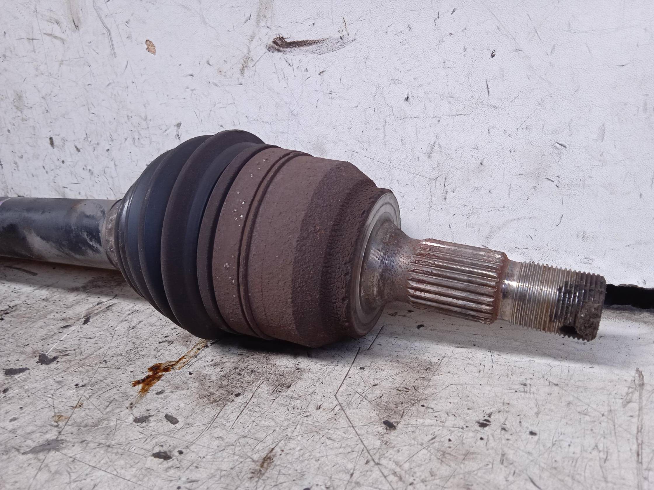 Semialbero ant. compl. sx.